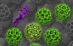 Researchers at TU Dresden make breakthrough in understanding electrical conductivity in doped organic semiconductors
