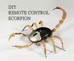 How to Make Remote Control Scorpion
