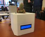 Plant Watering System