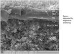 TPU scientists developed advanced technologies for manufacturing solid oxide fuel