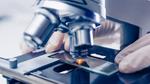 How safe is graphene?