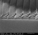 Firefly-inspired surfaces improve efficiency of LED lightbulbs