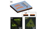 NRL, AFRL Develop Direct-Write Quantum Calligraphy in Monolayer Semiconductors