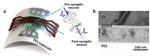 KAIST Develops Analog Memristive Synapses for Neuromorphic Chips