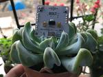 All In One Plant Monitoring System