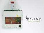 OXGROW: Smart Aquaponics System