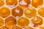 Graphene reveals electrons move like viscous liquids