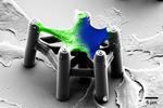 Materials Design in 3D: from the Molecule to the Macrostructure