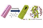 New separation technique could lead to reduced carbon dioxide emissions