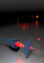 Turning a molecule into a coherent two-level quantum system