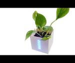 How to Make Smart Flower Pot
