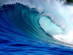 A low-cost, durable device to harness wave energy