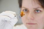 High-performance combination: Batteries made of silicon and sulphur