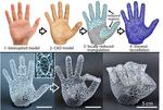 Robots created with 3D printers could be caring for those in golden years