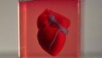TAU Scientists Print First 3D Heart Using Patient’s Own Cells and Materials