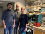 Bacteria could become a future source of electricity
