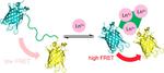 New sensor detects rare metals used in smartphones