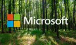 Bosque Programming Language