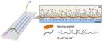 Bridge Over Coupled Waters: Scientists 3D-Print All-Liquid ‘Lab on a Chip’