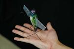 Hummingbird robot using AI to go soon where drones can’t