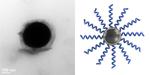 Carnegie Mellon Researchers Create Soft, Flexible Materials with Enhanced Properties
