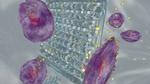 Engineering Team Develops Bioinks To Print Therapeutics In 3D