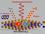 Manipulating Light-Matter Interaction Unlocks Properties for Quantum Information Storage and Computing
