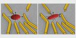 The geometry of an electron determined for the first time