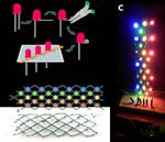 LED multiplexing layouts for hand-crafting