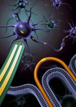 Combing nanowires