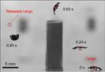 Jellyfish-inspired robot wins Best Paper Award in prestigious robotics conference