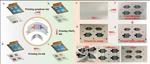 High-safety, Flexible and Scalable Zn//MnO2 Rechargeable Planar Micro-batteries