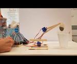 Popsicle Stick Robotic Arm