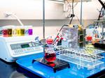 A high-performance battery for renewable energy storage