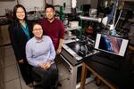 Printing flattens polymers, improving electrical and optical properties