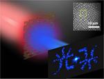 Researchers realize world’s thinnest optical hologram with 2-D material monolayer