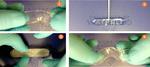 State-shifter: ‘Smart’ material can switch from soft to hard and back again