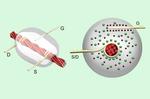 Engineers make transistors and electronic devices entirely from thread