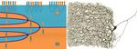 At the edge of chaos, powerful new electronics could be created