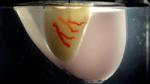 A swifter way towards 3D-printed organs