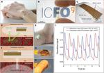 New health monitors are flexible, transparent and graphene enabled