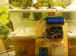 Ebb and Flow Hydroponic Mini System