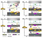Using High Energy Density Material in Electrode Design Enhances Lithium Sulfur Batteries
