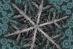 Scientists discover fractal patterns in a quantum material