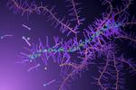 New synthesis method yields degradable polymers