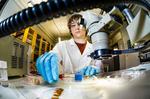 An electronic signal expands the material by a factor of 100