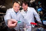 NTU Singapore researchers develop quantum communication chip 1,000 times smaller than current setups