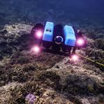 New monitoring technique lets your Remotely Operated Device do the snorkelling