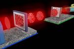 Cryptography without secret keys