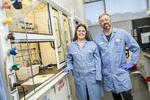 Go With the Flow: Scientists Design Better Batteries for a Renewable Energy Grid